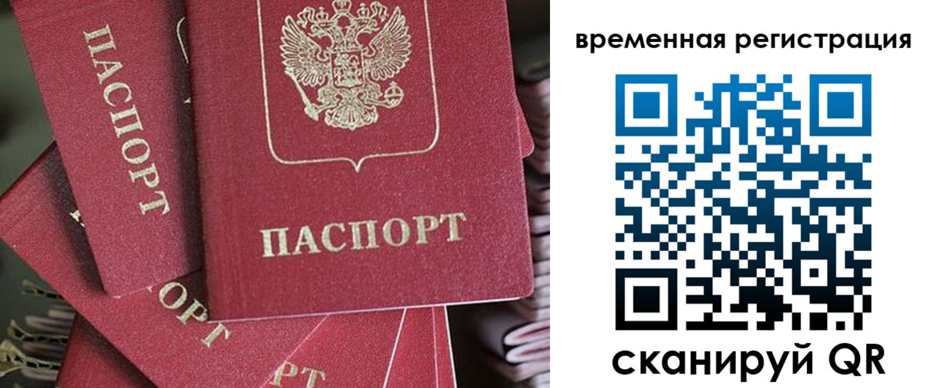 прописка в квартире в Эртили